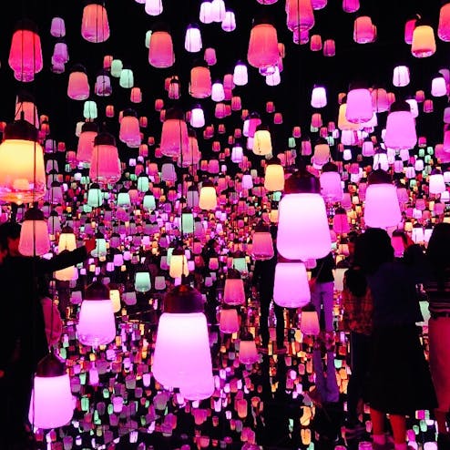 【閉業】森ビルデジタルアートミュージアム エプソンチームラボ ボーダレス