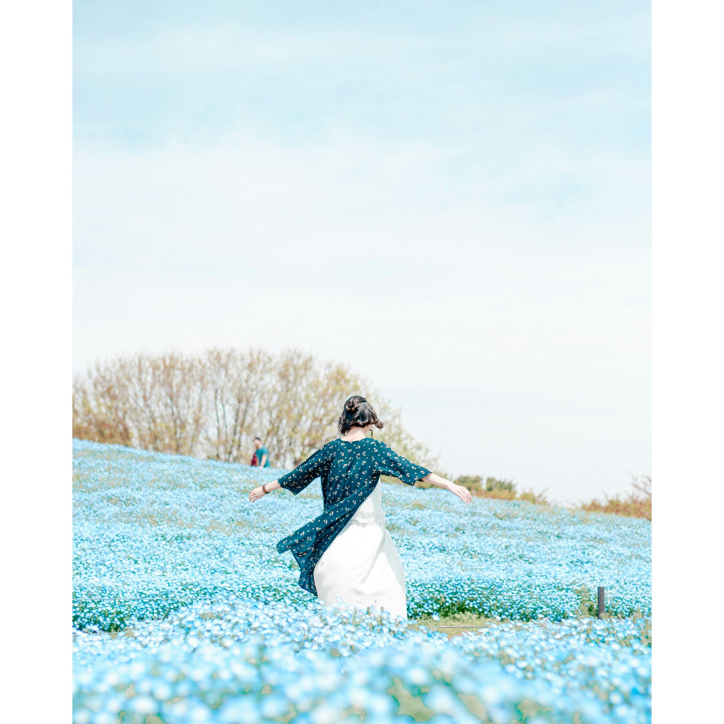 海の中道海浜公園 うみのなかみちかいひんこうえん の投稿写真 感想 みどころ 福岡 海の中道海浜公園 ネモフィラ トリップノート