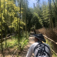 京都 嵐山
何気に初めての嵐山。
人力車も初めて乗ったよ。