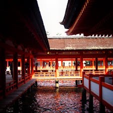 #厳島神社 #宮島 #広島
2016年10月

厳島神社は広くて通路が多く吹き抜けもたくさんあるので
少し歩くだけで全然違う雰囲気が楽しめる😊😊