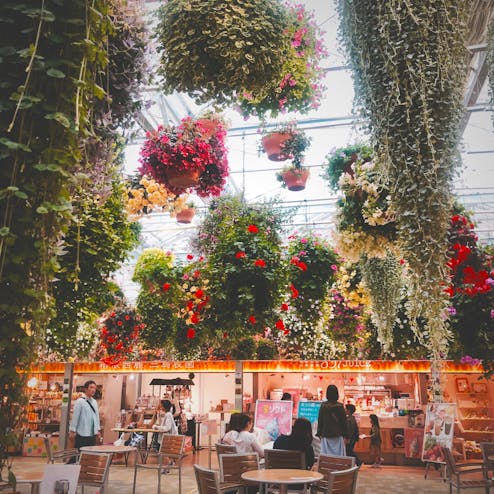 スカイガーデン