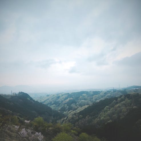 三島スカイウォーク