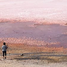 西オーストラリア ピンクレイク カルバリ ハットラグーン ピンク色の湖