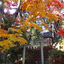 #高尾山
2016年11月

登山途中見かけた小さな神社⛩
真っ赤も綺麗だけど赤と黄色のコントラストも良い😊💕