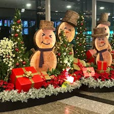 2018/12/22
#シンガポール
#チャンギ国際空港
#クリスマスのデコレーション