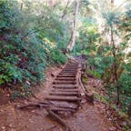 #高尾山
2016年11月

こういう手作り感ある道とか階段とか好きです😊💕
階段上るの大嫌いだけど、これならちょっと楽しいかも◎