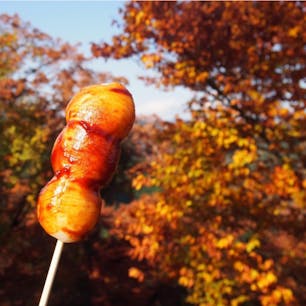 #高尾山スミカ #高尾山
2016年11月

登山道で #三福だんご 購入🍡
三福とは #大福 #裕福 #幸福 なんだとか😊😊