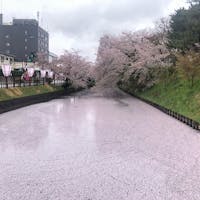 弘前城 花筏@青森県