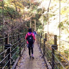 #みやま橋 #高尾山
2016年11月

橋大好きなので往路は #四号路 を選択😆💕

私と友達のマウンテンパーカー派手色だから
すごく目立ってたかもしれない...笑
