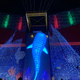 海遊館🐠
入園料は少し高めですが、中は広くて
充実しているので十分楽しめると思います。
クリスマスシーズンに行ったので人は
多かったですが、イルミネーションは
とても綺麗でした。
デートにはもってこい😎👍🏼💓
#大阪 #デート #屋内 #水族館