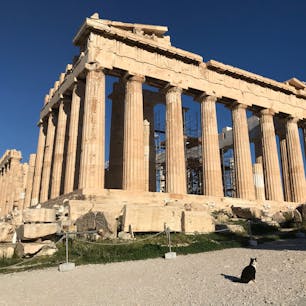 ネコとパルテノン神殿