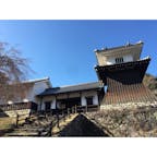 日本100名城
38番
岩村城