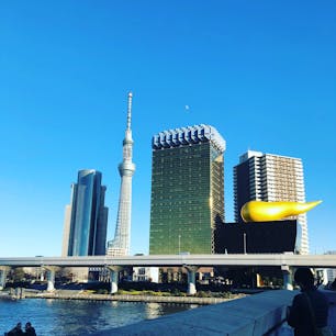 香川→東京
ヒッチハイク