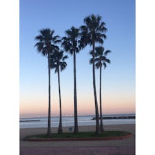 須磨海水浴場
兵庫県