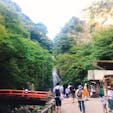 箕面の滝
大阪府