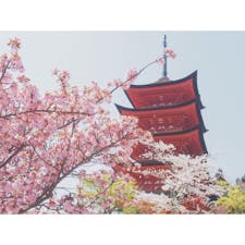 20190408

広島 宮島
［ 五重塔 ］