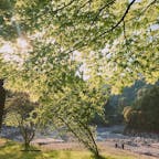 錫杖湖:緑がとてもキレイでした🤗