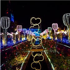 #ハウステンボス #長崎
2016年11月

#光の王国 行ってきました😆😆
お昼もすごく楽しかったけど、やっぱり夜が凄い✨

滝と、観覧車からの景色がとくに良かった😊💕 
あとプロジェクションマッピングでやる太鼓の達人も(笑)