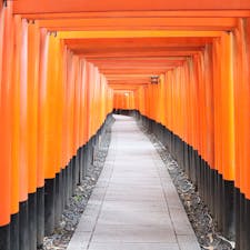 2月に行った伏見稲荷大社の千本鳥居