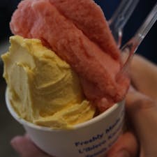 スイカとかぼちゃ🍉🎃