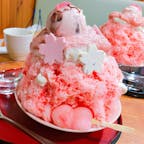 #ランチ#カフェ#カキ氷#桜
#愛知#名古屋

店: #古今茶屋 

春限定の桜のカキ氷です。
コタツ席もありました笑