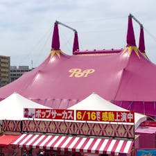 神奈川県
湘南深沢
ポップサーカス