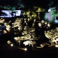 金沢
玉泉院丸庭園  ライトアップ