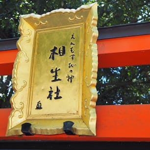 相生社

最初"そうせいしゃ"とか言ってたけど、
"あいおいのやしろ"やった〜
はずかし。

#京都#下鴨神社#相生社#あいおいのやしろ