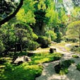 鎌倉 竹の寺報国寺
門を入ってすぐ 目に飛び込んでくる苔の癒し空間 そして 竹のお庭へ❣️