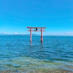 📍白鬚神社【滋賀県】
    湖に浮かぶ鳥居