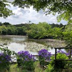 瀧安寺 鏡容池（きょうようち）
回遊庭園が本当に 美しい。