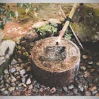 龍安寺 つくばい
「吾唯足知(われ ただたるを 知る)」