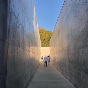 直島 地中美術館