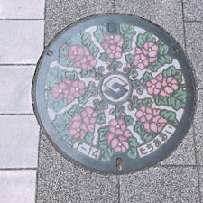 静岡駅前 マンホール
市の花「タチアオイ」