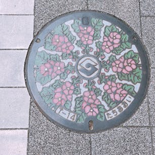 静岡駅前 マンホール
市の花「タチアオイ」