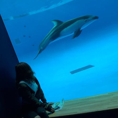 アクアワールド茨城県大洗水族館