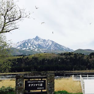 綺麗に利尻富士が見えました！