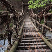 祖谷のかずら橋と奥祖谷の二重かずら橋と、両方巡ってきました。これは奥祖谷のほう。ワイヤーも使われてるし揺れはそこまでじゃなかったけど、足元の木の間隔がわりと空いていて、渡るのはなかなかのスリル。橋にしがみつきながらなんとか渡り切りました。