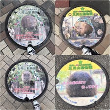 大阪 池田市マンホール
五月山動物園のウォンバット
のプリントマンホール。
8種類あるんだとか👀
池田栄町商店街 で発見。