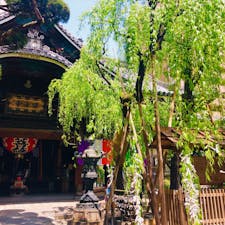 京都
六角堂
鳩