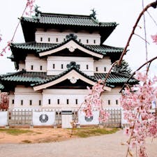 弘前城といえばやはり桜ですね。