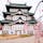 弘前城といえばやはり桜ですね。
