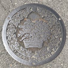 高松市( *¯ ³¯*)香川 松