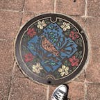 大阪池田市 マンホール
サツキツツジ☆クスノキ☆ヤマバト