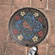 大阪池田市 マンホール
サツキツツジ☆クスノキ☆ヤマバト