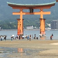 2019/05/26 10:00現在の⛩写真
<潮の情報は、小潮08:54(干潮)>
小潮でも鳥居前の近くまで歩けました。
ひざ上まて、海の中に浸かりながら入って行く人もチラホラいます。
ちなみに、島に渡るためには、⛴フェリー(¥180)でいくのですが、
◯R運航のフェリーは、島に渡る航路が鳥居前を通るので、乗船したら右側のデッキに出ていると良い写真が撮れますよ！