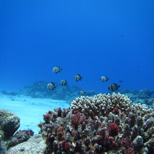 北マリアナ諸島(サイパン)
