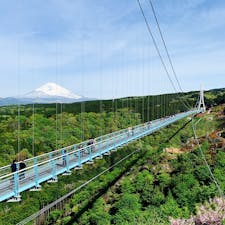 #三島スカイウォーク
想像以上に橋が揺れました。