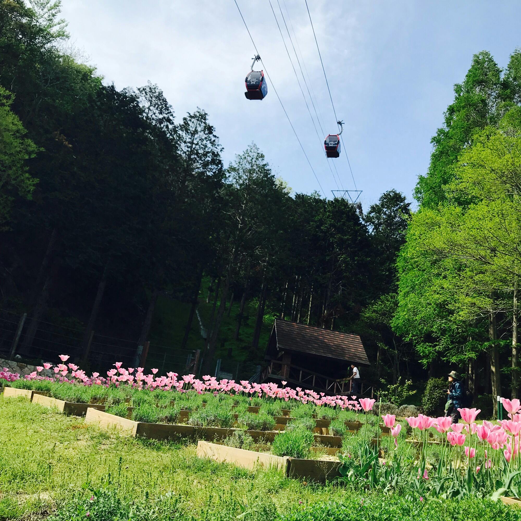 神戸布引ハーブ園 ロープウェイの投稿写真 感想 みどころ 初めて布引ハーブ園に行きました予想以上に楽しくて大満喫 トリップノート
