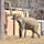 昨年ミャンマー共和国より札幌円山動物園に到着した4頭のアジアゾウ。2019年3月からは新しいゾウ舎で暮らす姿が一般公開されています。ゾウ本来の生活環境に近づけたゾウ舎は日本最大級の大きさで、仲良くのんびりと暮らしているゾウの姿を見ることができます🐘❤️